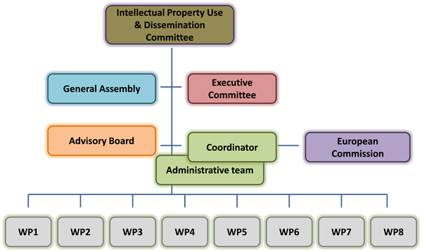 Management Structure